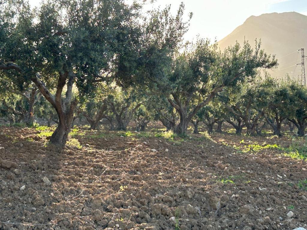 Civetta Blu Bed and Breakfast Castellammare del Golfo Buitenkant foto